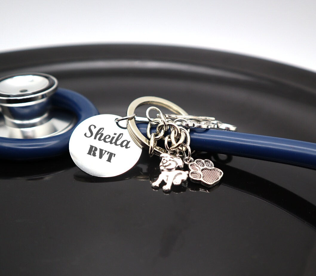 Custom Engraved Nurse Appreciation Gift For Nurse, Personalized Stethoscope ID Tag With Charm, Nursing Student Gift, Stethoscope Name Tag