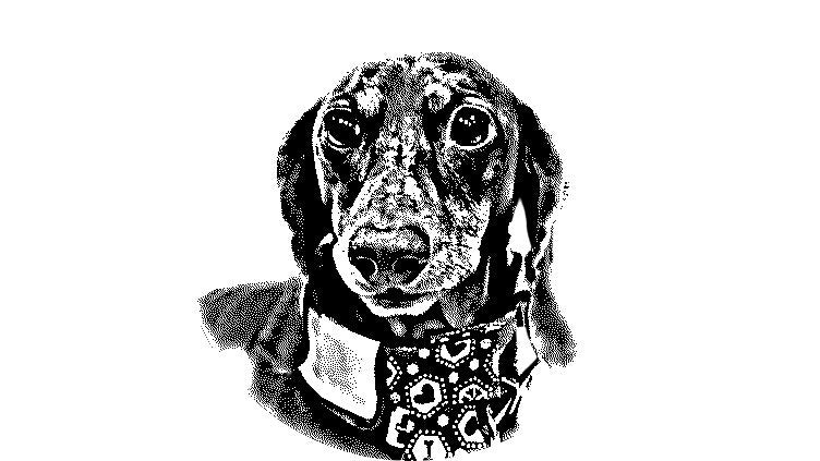 Custom Digital Pet Paw Print Rendering, Custom Paw Print Editing, Personalized Memorial Rendering For Your Beloved Pet Loss And Pet Keepsake