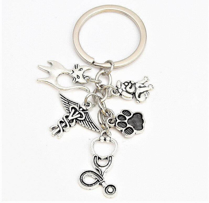 Custom Engraved Nurse Appreciation Gift For Nurse, Personalized Stethoscope ID Tag With Charm, Nursing Student Gift, Stethoscope Name Tag