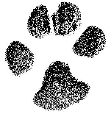 Custom Digital Pet Paw Print Rendering, Custom Paw Print Editing, Personalized Memorial Rendering For Your Beloved Pet Loss And Pet Keepsake