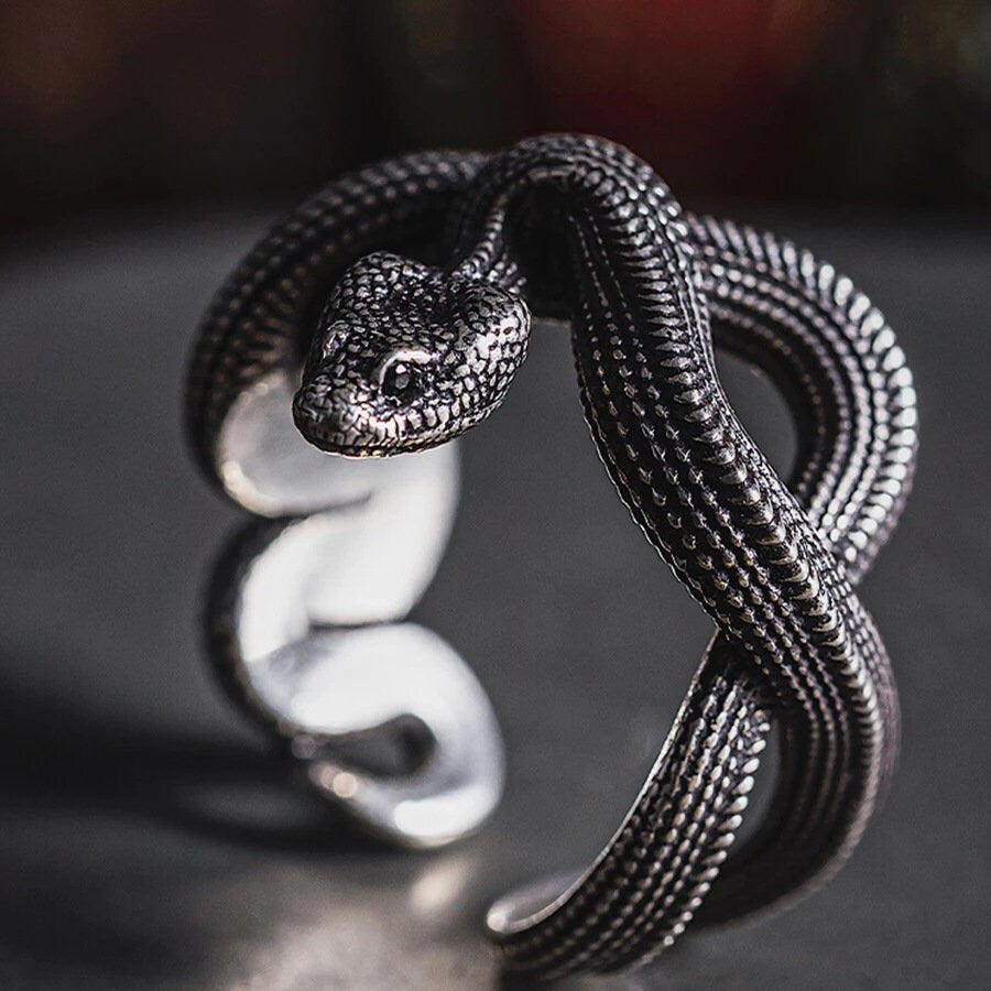 Skull Skeleton Necklace Pendant and Custom Snake Ring To Embrace Your Edgy Style | Goth Coffin Necklace & Gothic Vampire Coffin Earrings